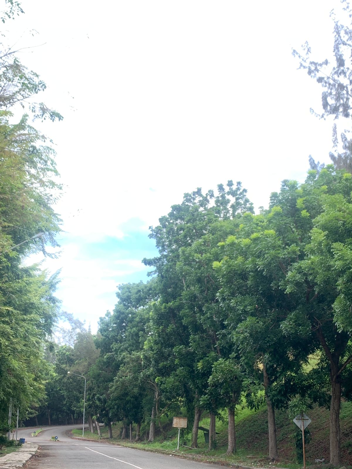 IMG-20260610-WA0042